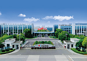 3777金沙娱场城股份介绍